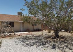 Ejecucion Avenida La Candela - Joshua Tree, CA