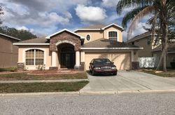 Ejecucion Dinsdale Dr - Spring Hill, FL