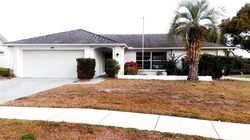 Ejecucion Macalpin Dr S - Palm Harbor, FL