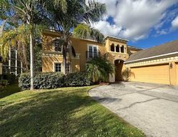 Ejecucion Loggerhead Way - Wesley Chapel, FL