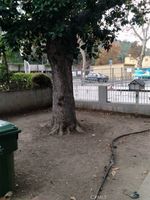 Haga Clic  aqu para ver la imagen de la propiedad