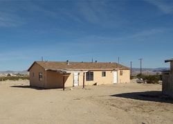 Ejecucion Old Chisholm Trl - Twentynine Palms, CA