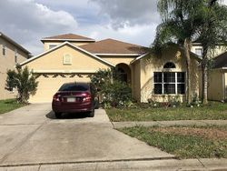 Pre-ejecucion Cedar Elm Ter - Land O Lakes, FL