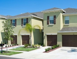 Pre-ejecucion Trumpet Vine Loop - New Port Richey, FL