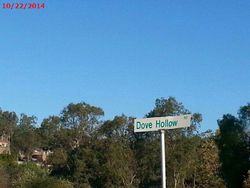 Pre-ejecucion Dove Hollow Rd - Encinitas, CA