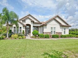 Pre-ejecucion Crossings Bluff Ln - Sorrento, FL