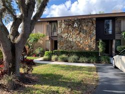 Pre-ejecucion Tarpon Woods Blvd Apt A6 - Palm Harbor, FL