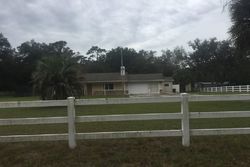  Idlewood Dr - Webster, FL